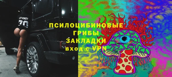 прущие крисы Костерёво