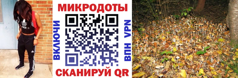 Псилоцибиновые грибы мицелий  Купить закладки  Багратионовск 